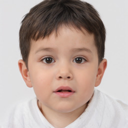 Neutral white child male with short  brown hair and brown eyes