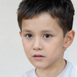 Neutral white child male with short  brown hair and brown eyes