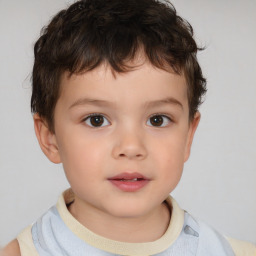 Neutral white child male with short  brown hair and brown eyes