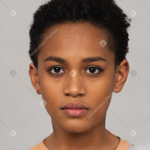 Neutral black young-adult female with short  brown hair and brown eyes