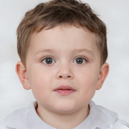 Neutral white child male with short  brown hair and brown eyes