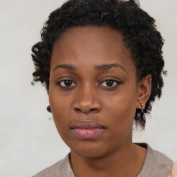 Neutral black young-adult female with short  brown hair and brown eyes