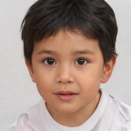 Neutral white child male with short  brown hair and brown eyes