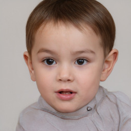 Neutral white child male with short  brown hair and brown eyes