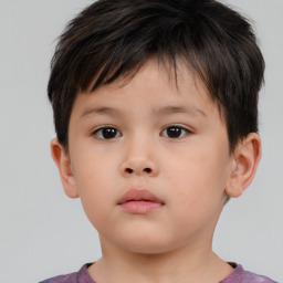 Neutral white child male with short  brown hair and brown eyes