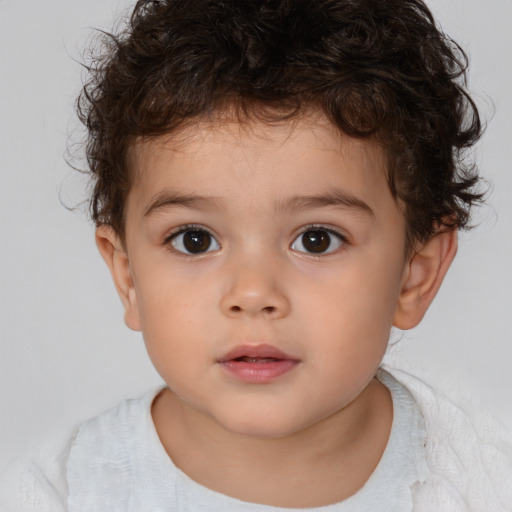 Neutral white child male with short  brown hair and brown eyes