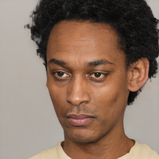 Neutral black young-adult male with short  black hair and brown eyes