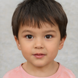 Neutral white child male with short  brown hair and brown eyes