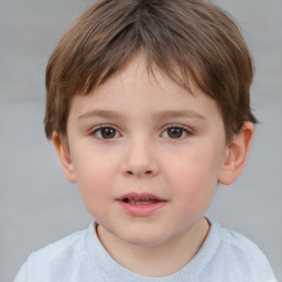 Neutral white child male with short  brown hair and brown eyes