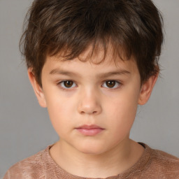 Neutral white child male with short  brown hair and brown eyes