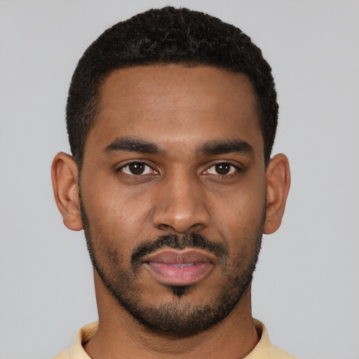 Joyful black young-adult male with short  black hair and brown eyes