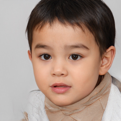 Neutral white child male with short  brown hair and brown eyes