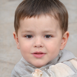 Neutral white child male with short  brown hair and brown eyes