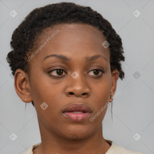 Neutral black young-adult female with short  brown hair and brown eyes