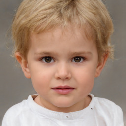 Neutral white child male with short  brown hair and brown eyes