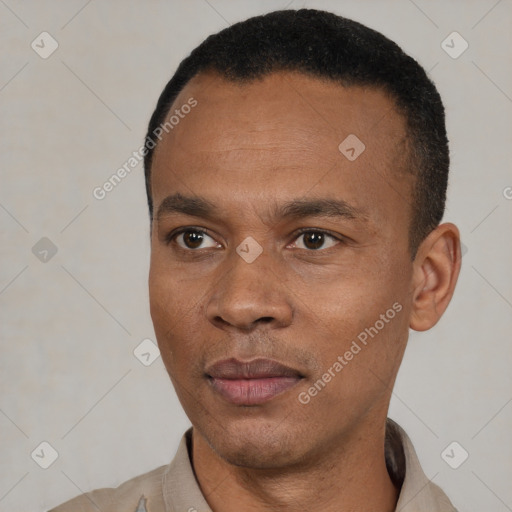 Joyful black young-adult male with short  black hair and brown eyes