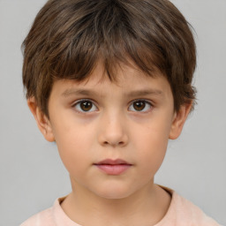 Neutral white child male with short  brown hair and brown eyes