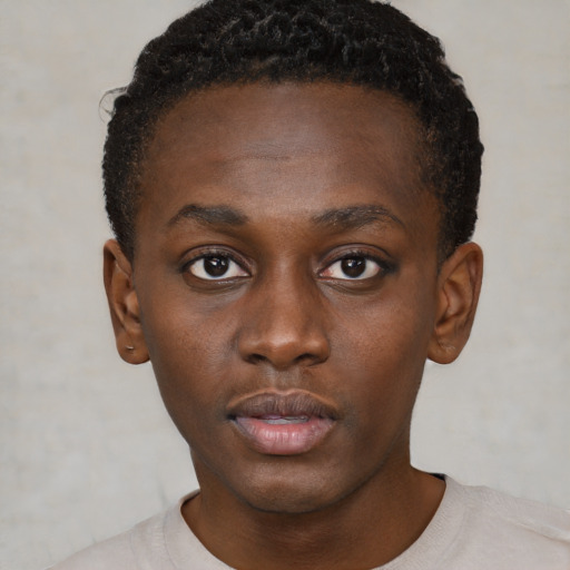 Neutral black young-adult female with short  brown hair and brown eyes