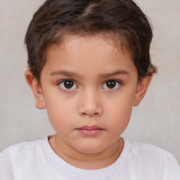 Neutral white child female with short  brown hair and brown eyes