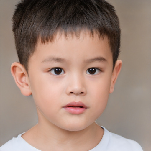 Neutral white child male with short  brown hair and brown eyes