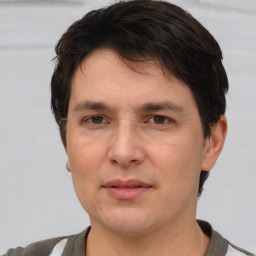 Joyful white adult male with short  brown hair and grey eyes