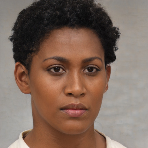 Neutral black young-adult female with short  brown hair and brown eyes