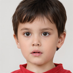 Neutral white child male with short  brown hair and brown eyes