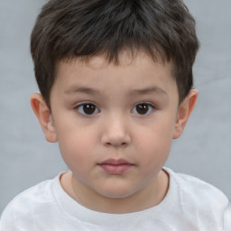 Neutral white child male with short  brown hair and brown eyes