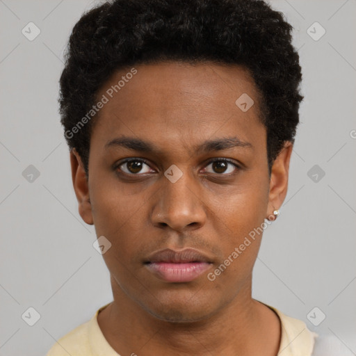 Neutral black young-adult male with short  black hair and brown eyes