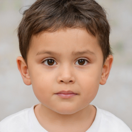 Neutral white child male with short  brown hair and brown eyes