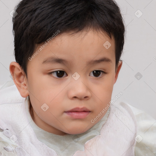 Neutral white child male with short  brown hair and brown eyes