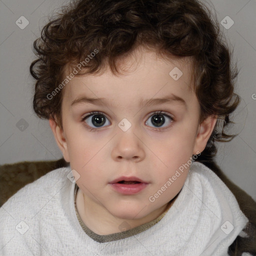 Neutral white child male with short  brown hair and brown eyes