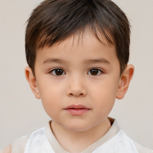 Neutral white child male with short  brown hair and brown eyes