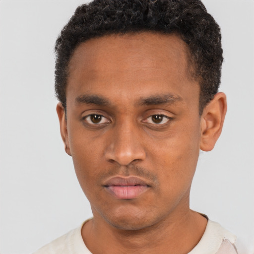 Neutral black young-adult male with short  black hair and brown eyes