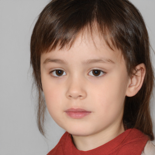 Neutral white child male with medium  brown hair and brown eyes