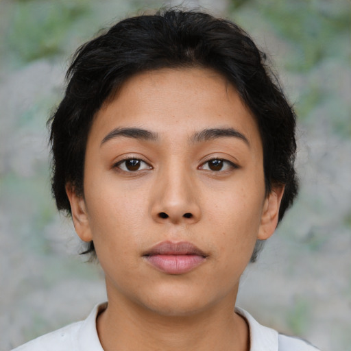 Neutral asian young-adult female with short  brown hair and brown eyes