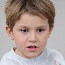 Neutral white child male with short  brown hair and brown eyes