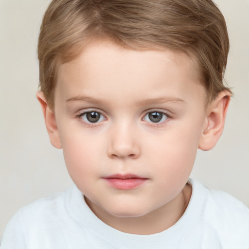 Neutral white child male with short  brown hair and brown eyes