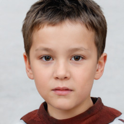 Neutral white child male with short  brown hair and brown eyes