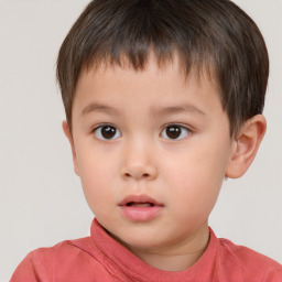 Neutral white child male with short  brown hair and brown eyes