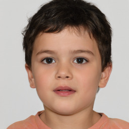 Neutral white child male with short  brown hair and brown eyes