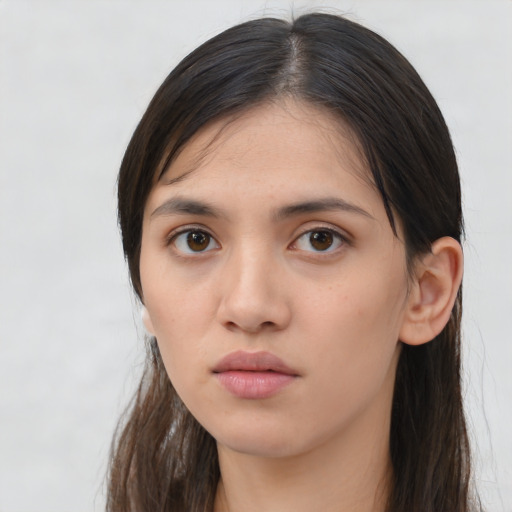 Neutral asian young-adult female with long  brown hair and brown eyes
