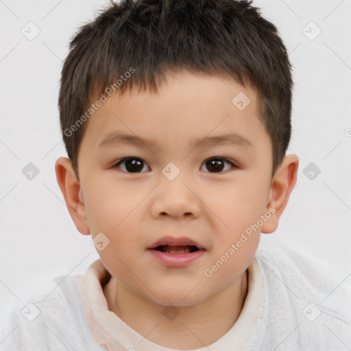 Neutral white child male with short  brown hair and brown eyes