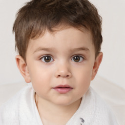 Neutral white child male with short  brown hair and brown eyes