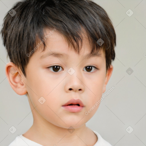 Neutral white child male with short  brown hair and brown eyes