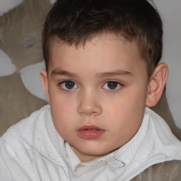 Neutral white child male with short  brown hair and brown eyes