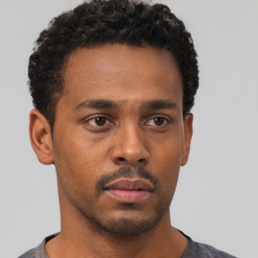 Neutral black young-adult male with short  black hair and brown eyes
