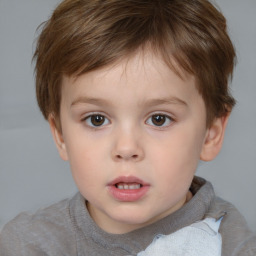 Neutral white child male with short  brown hair and brown eyes