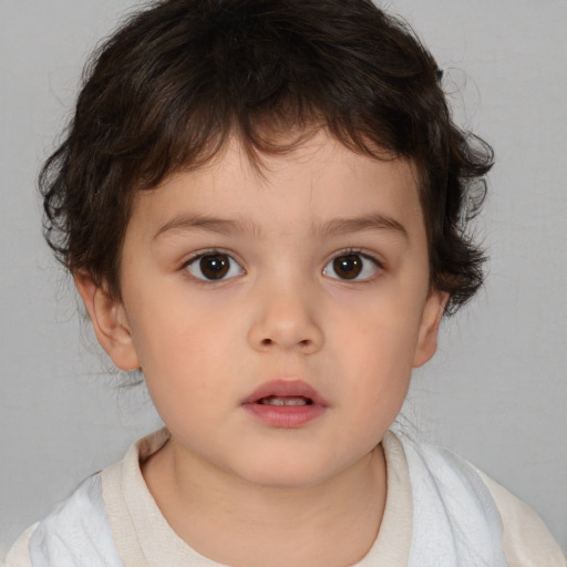 Neutral white child male with short  brown hair and brown eyes