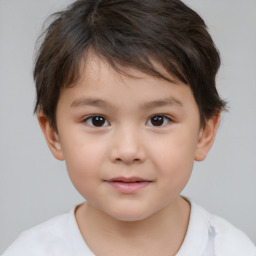 Neutral white child male with short  brown hair and brown eyes